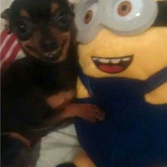 Meet your Posher, Aleema - Picture 1 of 1